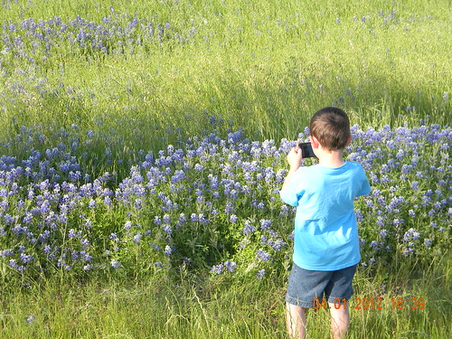 Zach Taking A Picture Of Bluebonnets 4-1-2012