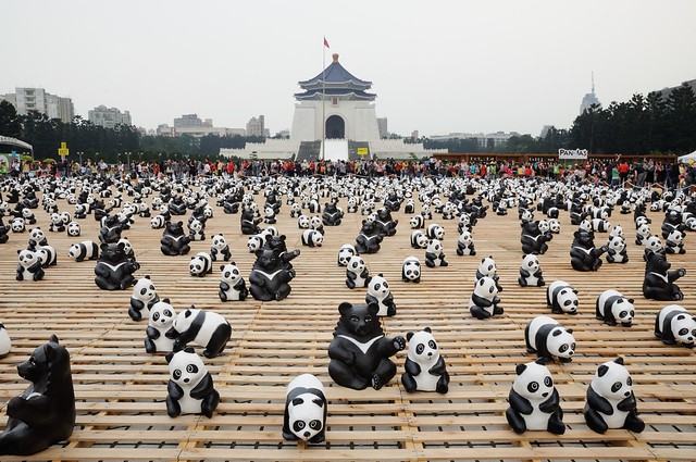 1600 貓熊世界之旅 - 台北