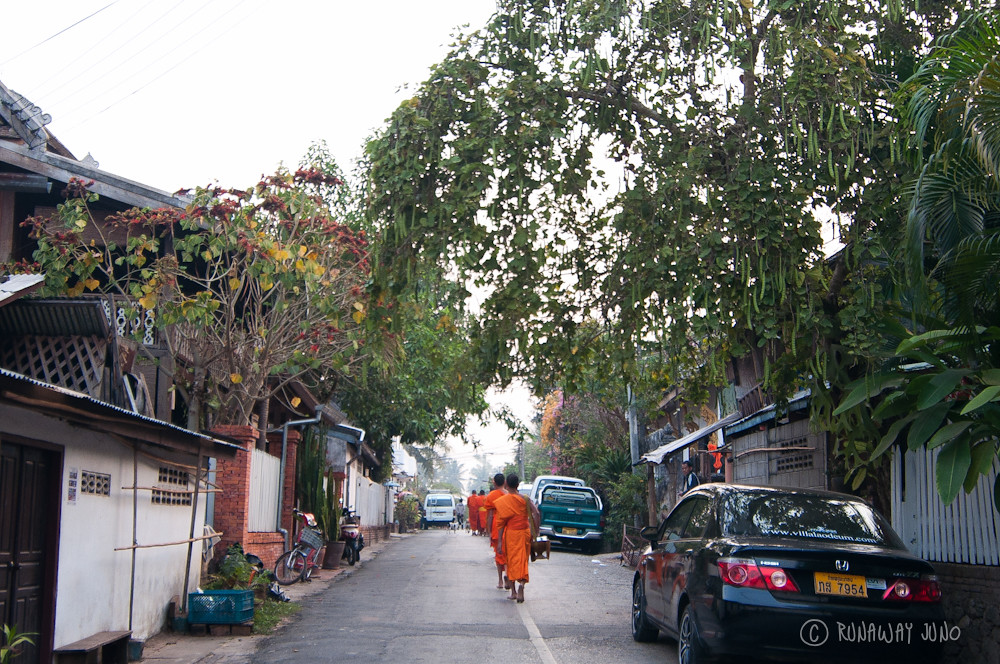 Monks in the morning collecting alms