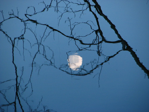 Moon Reflection by paynehollow