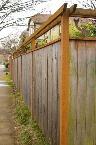 cool fence  1357