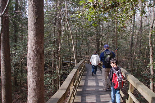Starting out on the Congaree Boardwalk