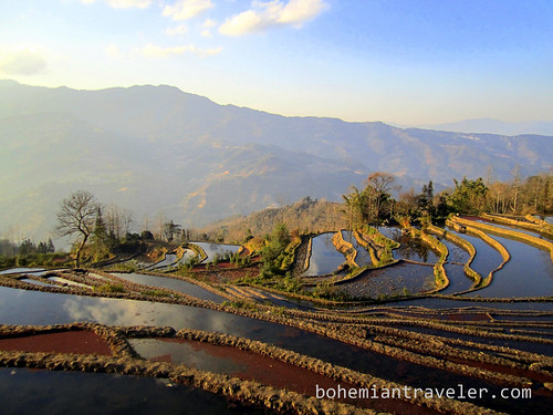 Yuanyang Rice Terraces around Xinjie China 20