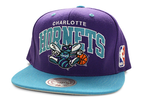 NBA Mitchell & Ness - Charlotte Hornets Snapback Hats Cap 2 Tone Arch Logo - Purple/Blue