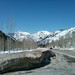 wasatch national forest