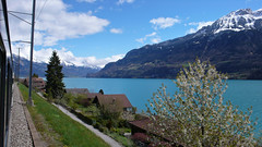 Widok z pociagu na jezioro Brienersee niedaleko Interlaken