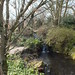 The National Botanic Garden of Wales - March 2012