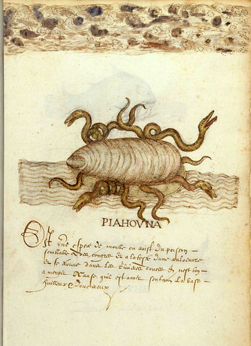 004--Histoire Naturelle des Indes- ca.1586-MA 3900- fol. 33v-34-© The Morgan Library & Museum