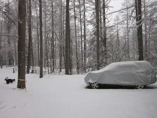 弱い雪の降るアプローチ　2012年3月9日16:07 by Poran111
