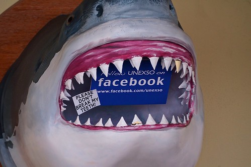 Facebook Jumps the Shark
