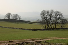 0312 The Dales