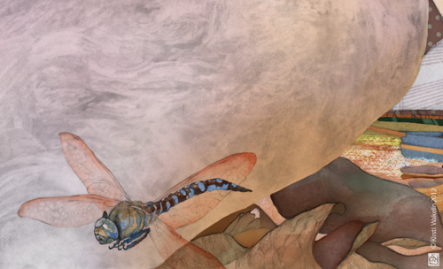 Dragonfly - illustration detail