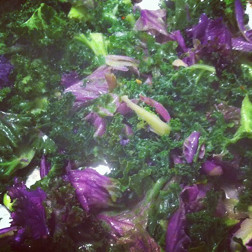 Day 312: My first time trying mixed kale. I like! by lalasappy
