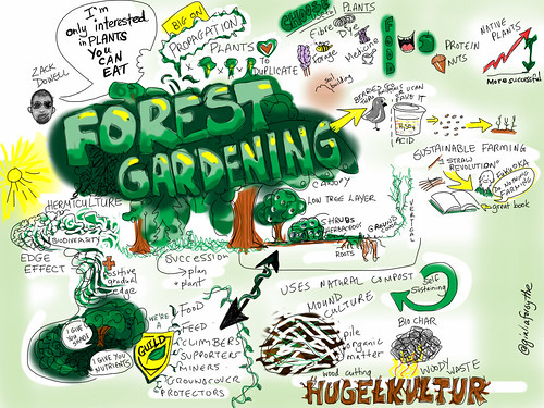 Forest Gardening