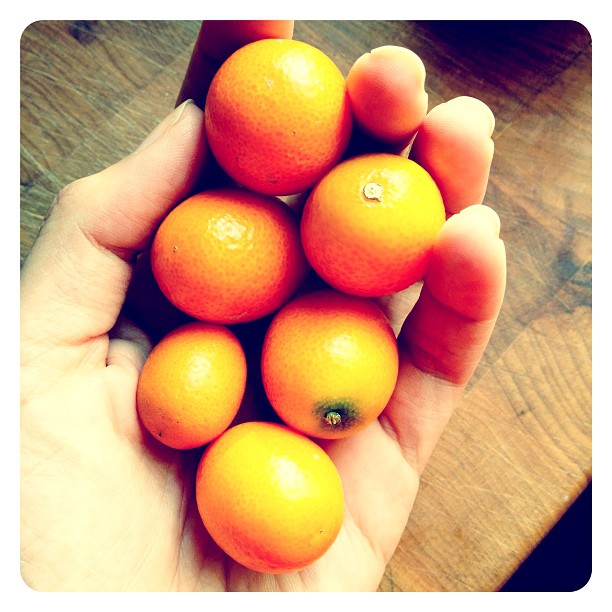 I heart kumquats #marchphotoaday #fruit