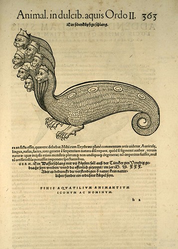 015-Monstruo-Icones animalium- (1553)- Conrad  Gesner- SICD Strasbourg