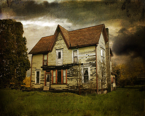 Old Myers House  by Lynne Larkin