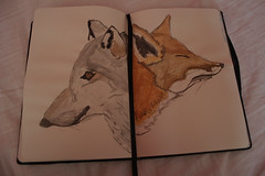 wolf & fox 17/365