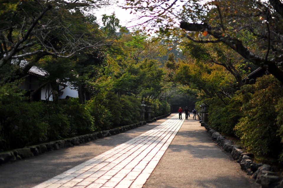 Nice long pathways extending to the main temple area