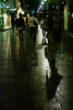 雨上がりの歩道