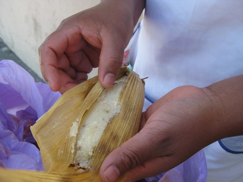 Fresh tamales, Oaxaca, Mexico