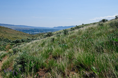 Wenatchee - Sage Hills - Lester Trail 17May2012 hha_9614 by 2HPix.com - Henry Huey
