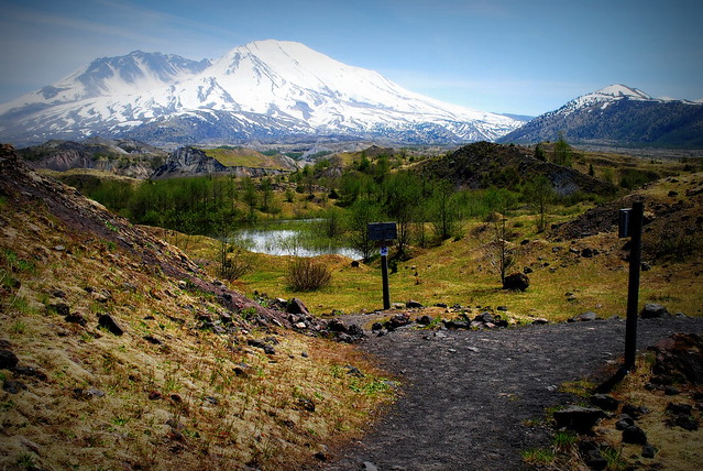 Mt St Helens from the junction of the Hummocks and Boundary trails