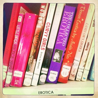 a snapshot of the erotica shelf of the Bitch Lending Library