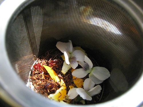 Tea Infuser with Rooibos and Violets