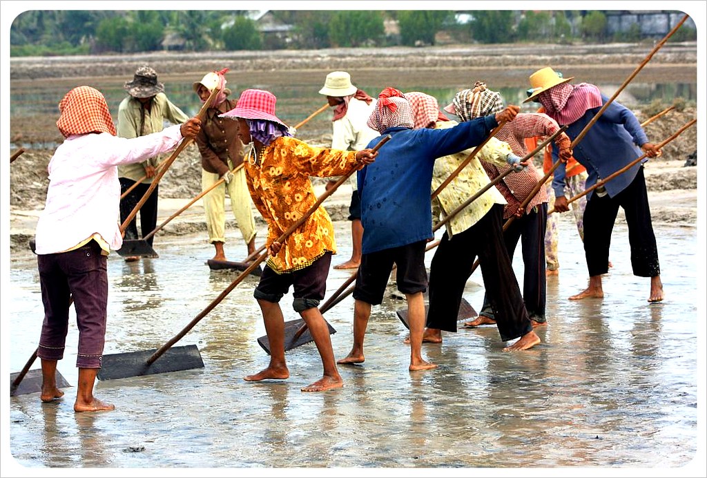 salt field workers cambodia
