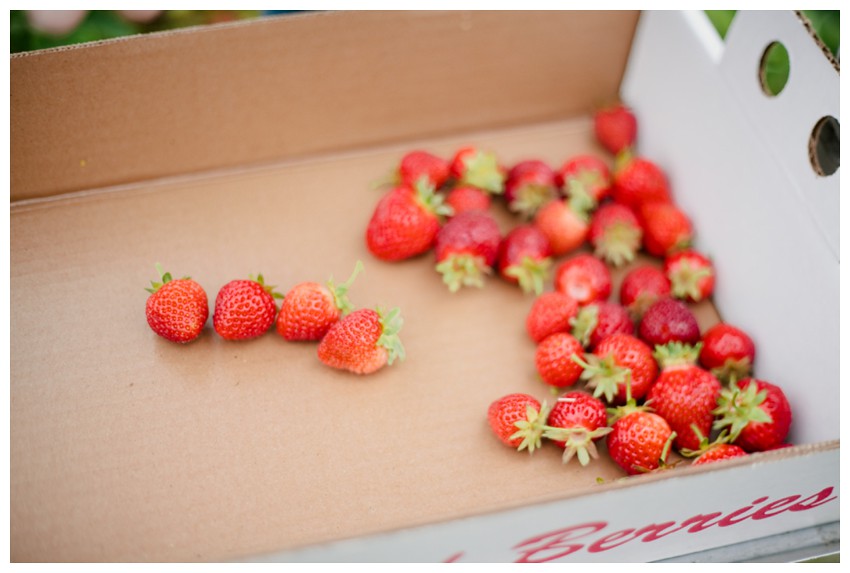 strawberries_003