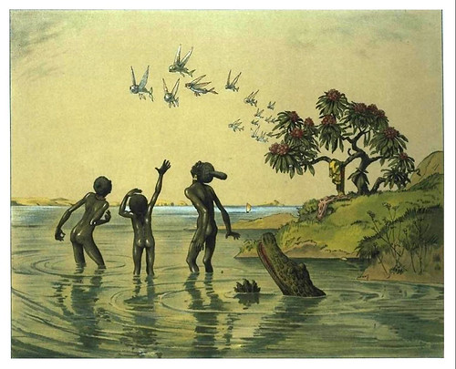 014-Los peces voladores-Afrika  Studien und Einfaelle eines Malers 1895- Hans Richard von Volkmann- Universitätsbibliotheken Oldenburg