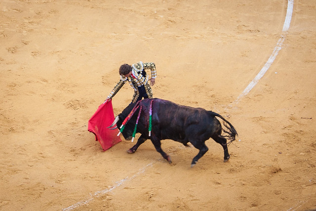 Bullfight-062.jpg