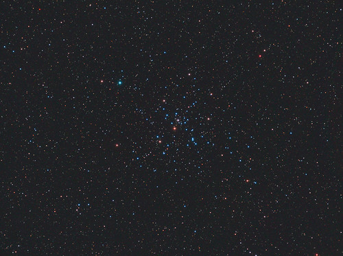M41 Little Beehive Cluster