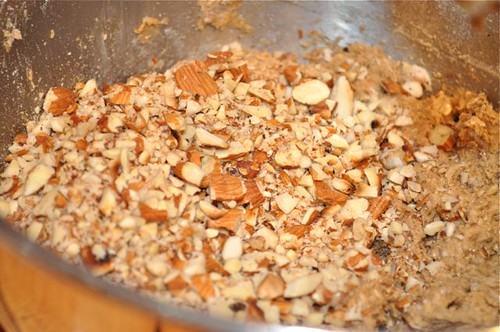 biscotti with spices, almonds & oatmeal 16