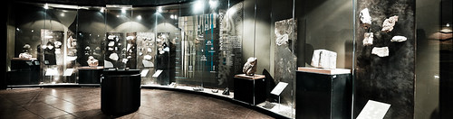 Museo de Paleontología (12)
