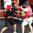 FitImpact : boxing gyms melbourne, Muay Thai Kickboxing