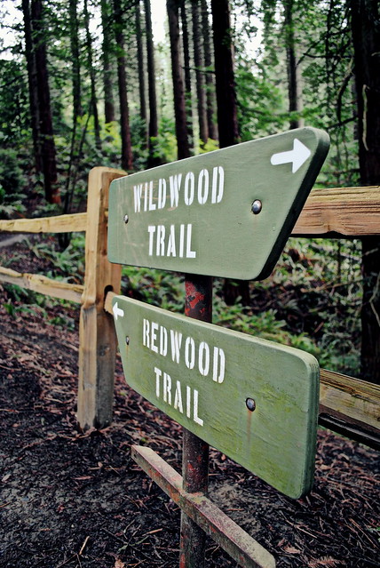 Wildwood Trail jnctn Redwood Trail - Hoyt Arboretum - Portland, Oregon