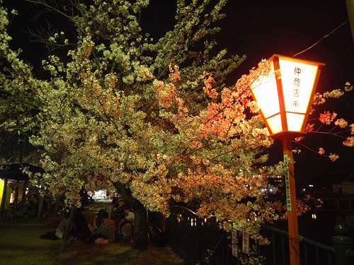 夜桜2012＠大中公園（大和高田市）-03