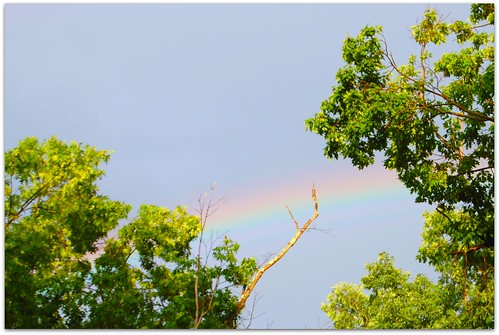 rainbow :-)