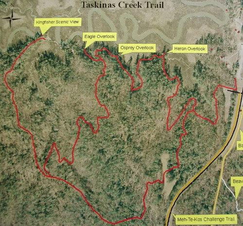 Map of Taskinas Creek Trail