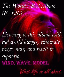 Wind, Wave, Model. Remix.