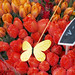 flower market, Stuttgart
