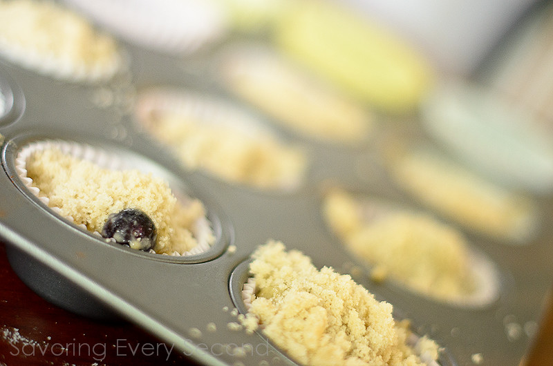 Blueberry Muffins-001-Edit.jpg
