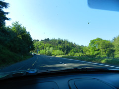 Driving home from Newcastle (Glen of the Downs)