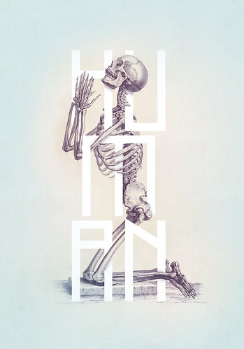 Bone Anatomy Illustrated
