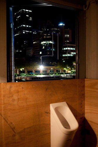 Urinal with a view