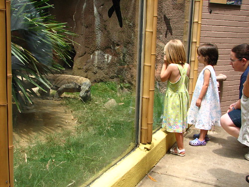Memphis zoo