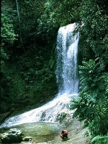 Falls in Cordillera Central
