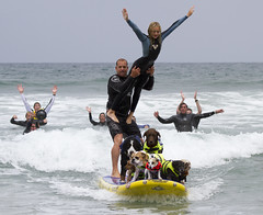 Surf Dog Competition - Imperial Beach (2012)